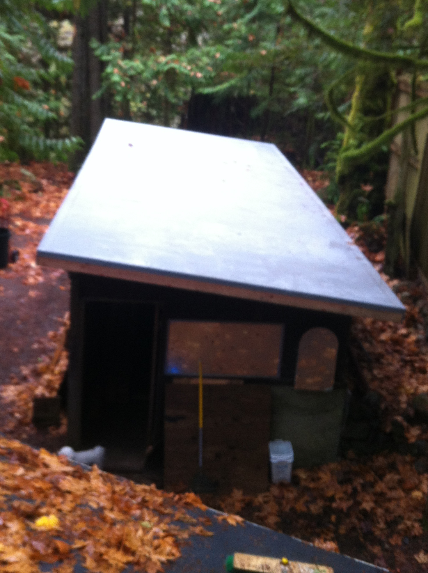 Harriet's new TPO roof Harriets roof